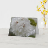 Dreamy Cherry Blossoms AH2010 Karte (Gelbe Blume)