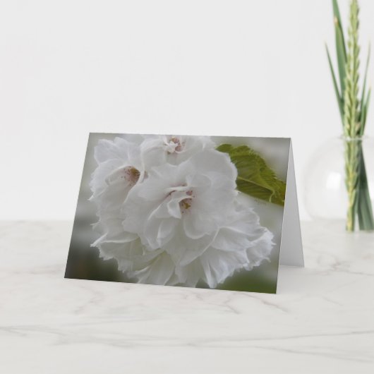 Dreamy Cherry Blossoms AH2010 Karte (Vorderseite)