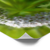 Dreamy Curling White Wildblume Abstrakt Poster (Ecke)