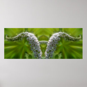 Dreamy Curling White Wildblume Mirror Abstrakt Poster
