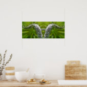 Dreamy Curling White Wildblume Mirror Abstrakt Poster (Küche)