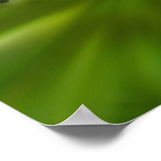 Dreamy Curling White Wildblume Mirror Abstrakt Poster (Ecke)