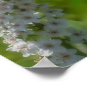 Dreamy Curling White Wildblume Poster (Ecke)