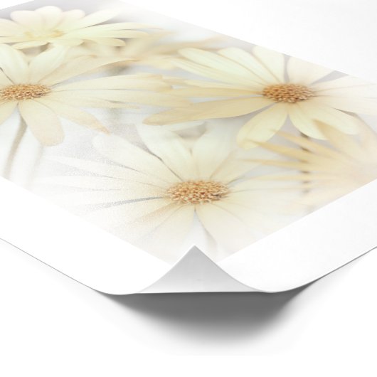 Dreamy Daisies 2 Fotodruck (Ecke)
