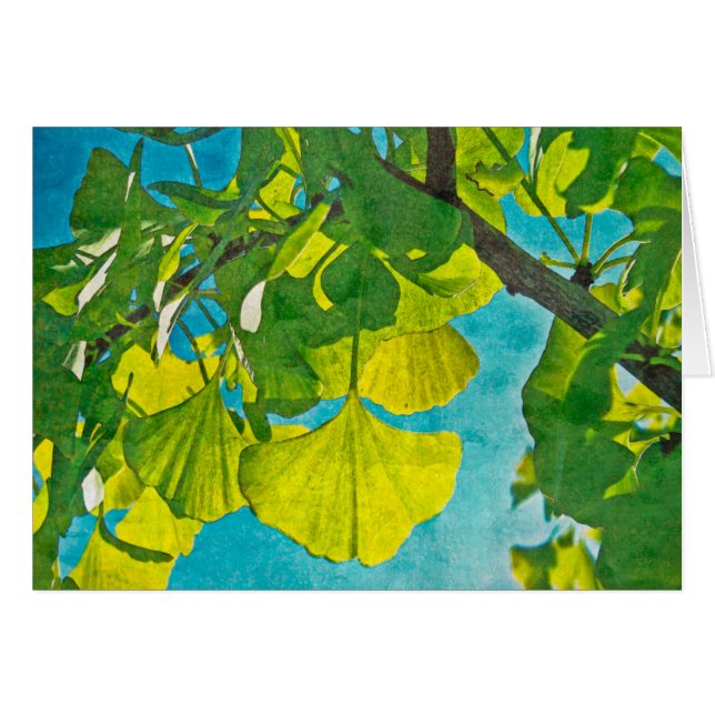 Dreamy Fans (Vorderseite (Horizontal))