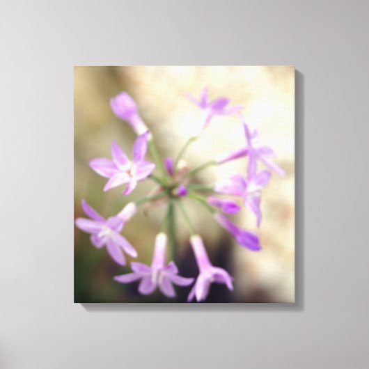 Dreamy Flora Leinwanddruck (Vorderseite)