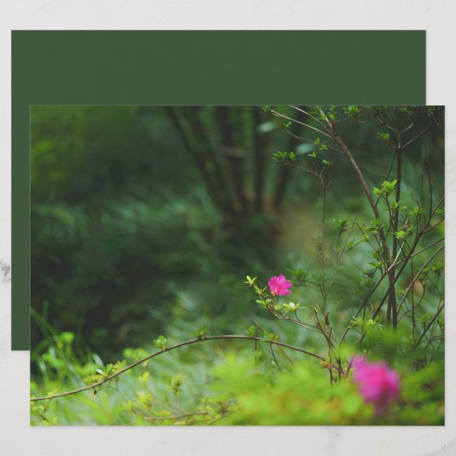 Dreamy forest flower Scrapbook Paper (Vorne/Hinten)