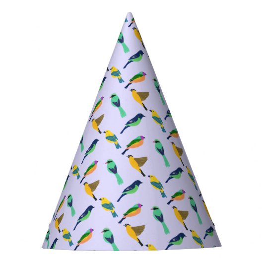 Dreamy Lila Sky Colorful Bird Partyhütchen (Vorderseite)