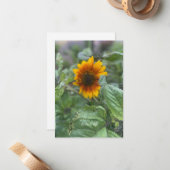 Dreamy Little Sunflower Mitteilungskarte (Vorderseite/Rückseite Beispiel)