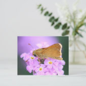 Dreamy Moth Postcard Postkarte (Stehend Vorderseite)