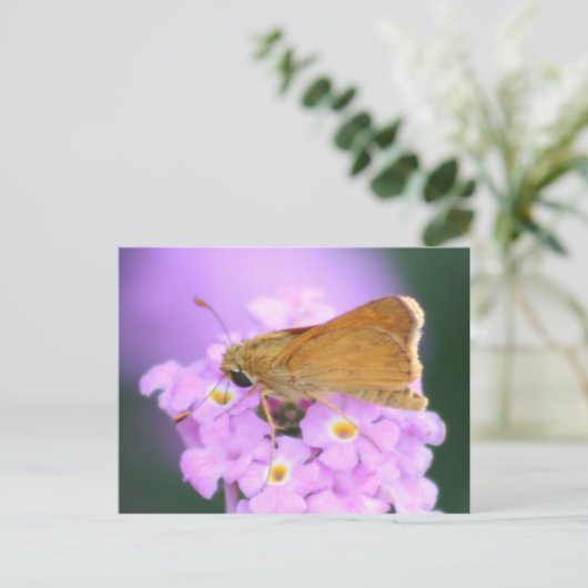 Dreamy Moth Postcard Postkarte (Stehend Vorderseite)