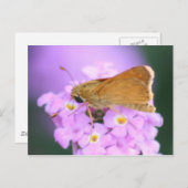 Dreamy Moth Postcard Postkarte (Vorne/Hinten)