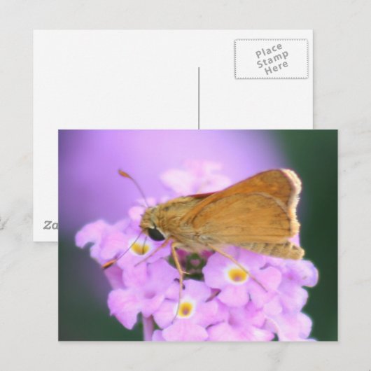 Dreamy Moth Postcard Postkarte (Vorne/Hinten)