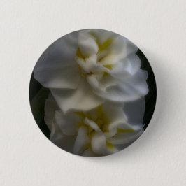 Dreamy Narcissus Button