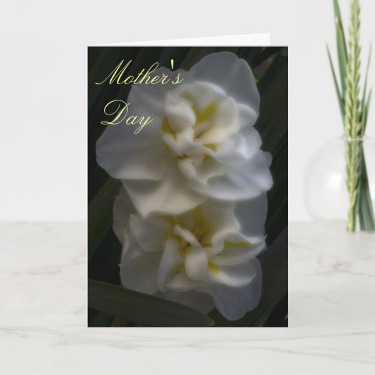 Dreamy Narcissus Daffodils Mama Day Karte (Vorderseite)