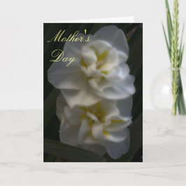 Dreamy Narcissus Daffodils Mama Day Karte