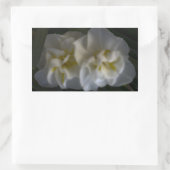 Dreamy Narcissus Rechteckiger Aufkleber (Tasche)