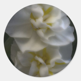 Dreamy Narcissus Runder Aufkleber