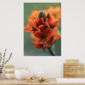 Dreamy Orange Chincherinchee Blume Poster (Küche)