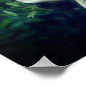 Dreamy Peach Rose and Buds Poster (Ecke)