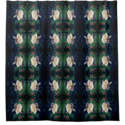 Dreamy Peach Rose und Buds Abstrakt Duschvorhang (Vorderseite)