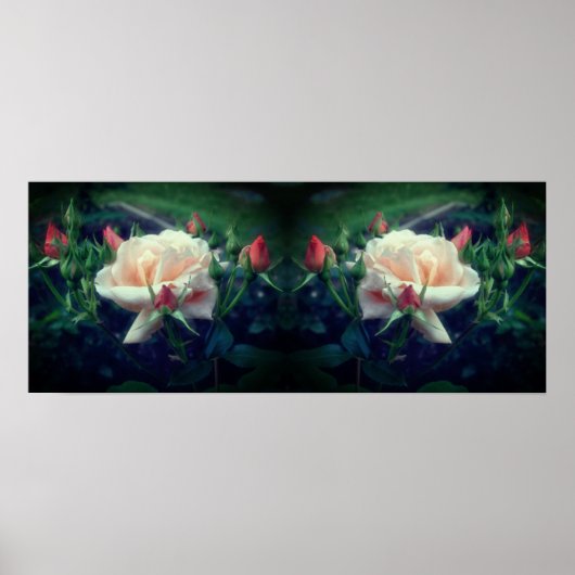Dreamy Peach Rose und Buds Mirror Abstrakt Poster (Vorne)