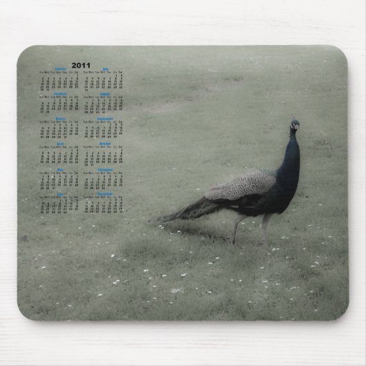 Dreamy Peacock Mousepad (Vorne)