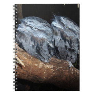 "Dreamy Perch: Sleepy Tawny Frogmouth Owls" Notizblock