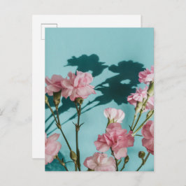 Dreamy pink carnation flowers on blue background postkarte