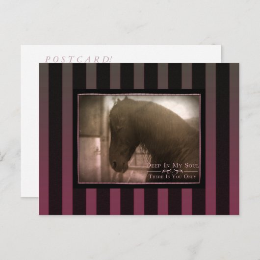 Dreamy - Postkarte (Vorne/Hinten)