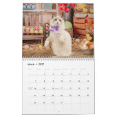 Dreamy Ragdoll Cats and Kittens Calendar Kalender (Mär 2027)