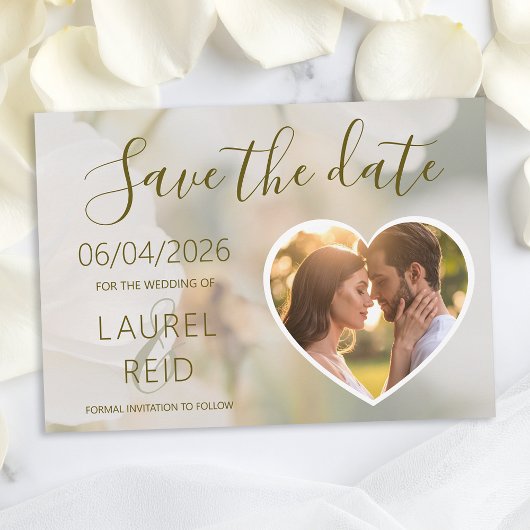 Dreamy Romantic White Rose Petal Blume Hintergrund Save The Date