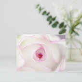 Dreamy Rose Postkarte (Stehend Vorderseite)