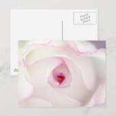 Dreamy Rose Postkarte (Vorne/Hinten)