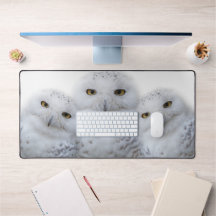 Dreamy Snowy Owls Familie Funny nach Hoot
