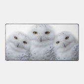 Dreamy Snowy Owls Familie Funny nach Hoot Schreibtischunterlage (Vorderseite)
