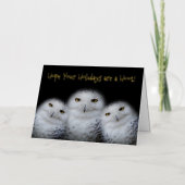Dreamy Snowy Owls Weihnachtsfamilie Funny Hoot (Vorderseite)