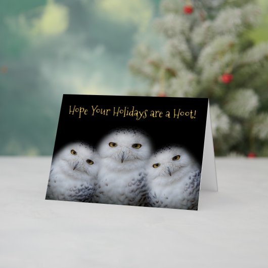 Dreamy Snowy Owls Weihnachtsfamilie Funny Hoot (Feiertag In Situ)