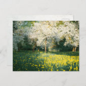 Dreamy spring orchard postkarte (Vorne/Hinten)