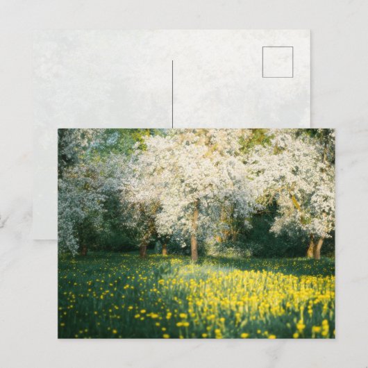 Dreamy spring orchard postkarte (Vorne/Hinten)