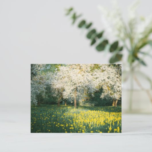 Dreamy spring orchard postkarte (Stehend Vorderseite)