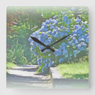 Dreamy Summer Hydrangeas Quadratische Wanduhr