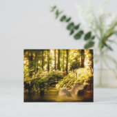 Dreamy Swan Postcard Postkarte (Stehend Vorderseite)