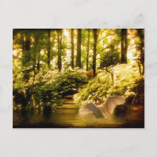 Dreamy Swan Postcard Postkarte