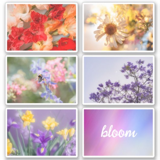 Dreamy vibrant spring floral sticker set sheet (Vorderseite)