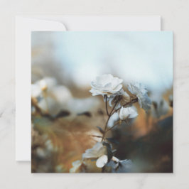 Dreamy White Garden Roses with Soft Vintage Bokeh Feiertagskarte
