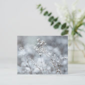 Dreamy winter nature, New Year Feiertagspostkarte (Stehend Vorderseite)