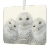 Dreamy Wisdom of Snowy Owls Autolufterfrischer (Links)