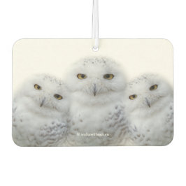 Dreamy Wisdom of Snowy Owls Autolufterfrischer