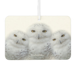 Dreamy Wisdom of Snowy Owls Autolufterfrischer